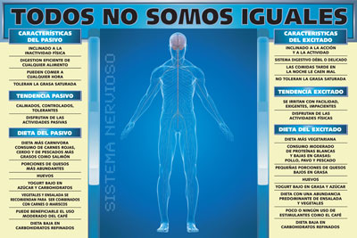 Ver Imagen Tama�o Grande (poster sistema nervioso)
